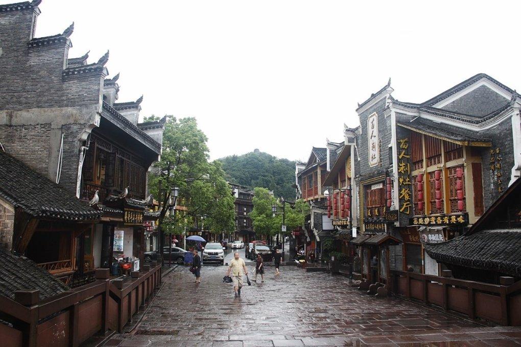 茂密丛林逃生